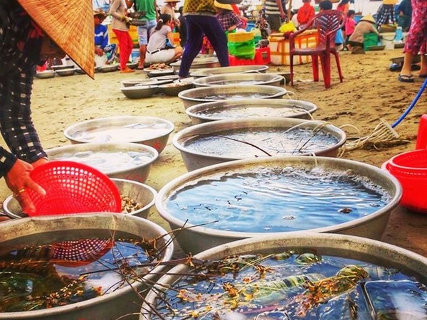 Ăn hải sản sống có an toàn hay không?