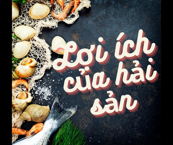 BẠN ĐÃ BIẾT NHỮNG LỢI ÍCH CỦA VIỆC ĂN HẢI SẢN ĐỐI VỚI SỨC KHỎE CHƯA?