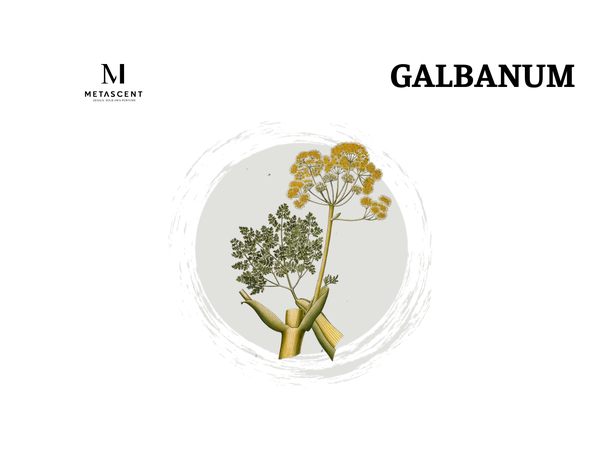 Galbanum