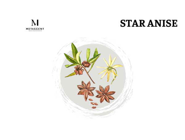 Star Anise