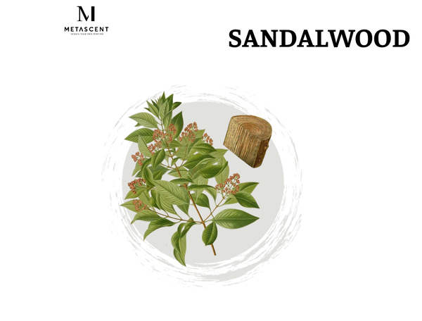 Sandalwood