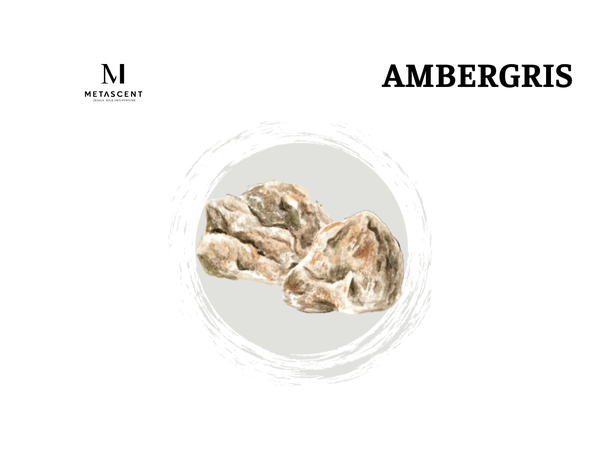 Ambergris
