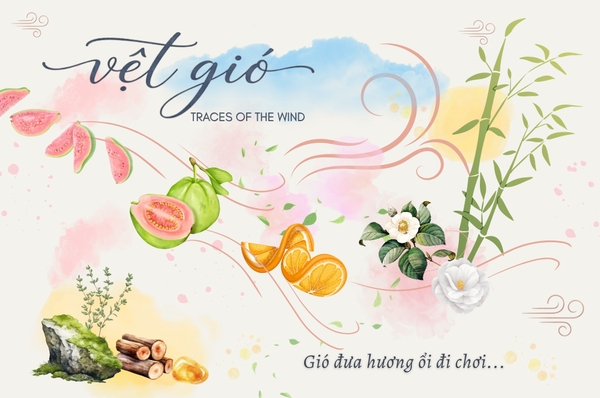 Vệt gió