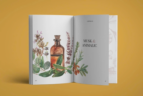 Pre-order sách BÁCH HƯƠNG