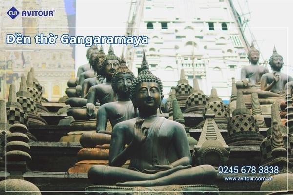 Du lịch Sri Lanka - Xứ Tích Lan 2026: Tham Dự Lễ Hội Rước Xá Lợi Răng Phật