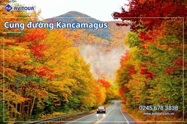 Du Lịch Bờ Đông Hoa Kỳ 2026: New York - Boston - New Hampshire - Artist’s Bluff - Echo Lake Kancamagus Highway - White Mountains - Albany - Buffalo Niagara Falls - Corning - Washington DC