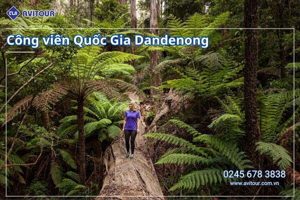 Du Lịch Úc 2026: Hà Nội - Sydney- Canberra - Melbourne  - Hà Nội