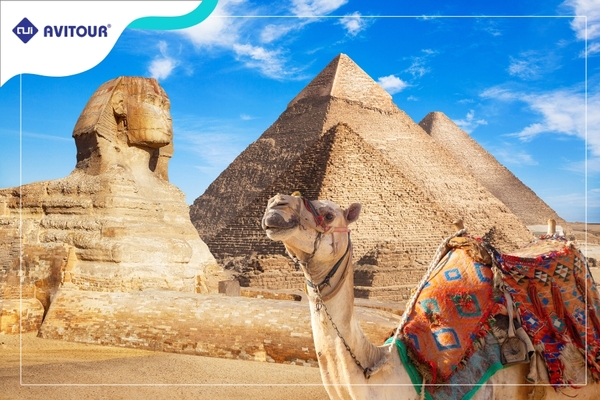 Du lịch Ai Cập 2023 | CAIRO - BAHARIYA – ALEXANDRIA - ASWAN - LUXOR - BIỂN ĐỎ