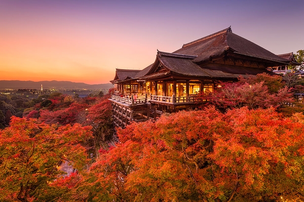 Du Lịch Nhật Bàn | TOKYO – PHÚ SỸ - NAGOYA – KYOTO – OSAKA [6 Ngày 5 Đêm] Bay VietjetAir