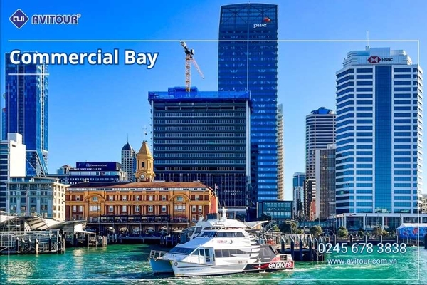Du lịch New Zealand 2026: Tour Auckland - Waitomo - Taupo - Rotorua - Matamata - Hamilton