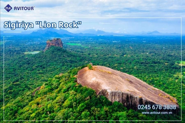 Du lịch Sri Lanka 2026: Khám Phá Xứ Tích Lan