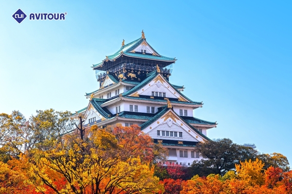 Du lịch Nhật Bản 2023| Osaka – Nara - Kyoto – Fuji Moutain – Oshino Hakkai – Tokyo