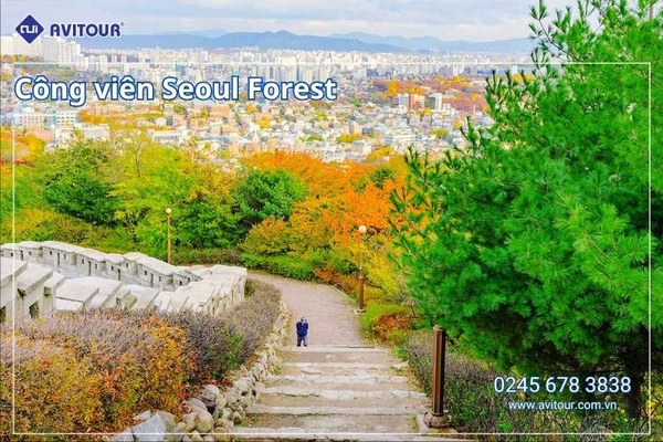 Du Lịch Hàn Quốc Mùa Thu Lễ 2/9/2026: Seoul City - Nami Island - Du thuyền Sông Hàn - Công Viên Seoul Forest - Làng Ikseon Dong - Tắm Sauna - Coex Starfield - Everland