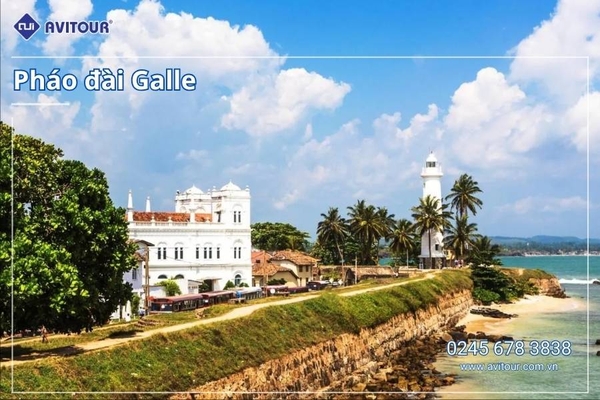 Du lịch Sri Lanka - Xứ Tích Lan 2026: Tham Dự Lễ Hội Rước Xá Lợi Răng Phật