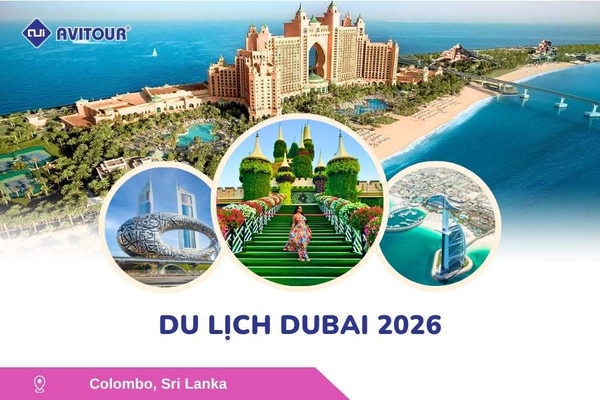 Du lịch Dubai 2026: Dubai - Safari - Abu Dhabi