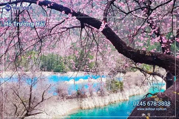 Du Lịch Trùng Khánh 2026: Khám Phá Thiên Đường Hạ Giới