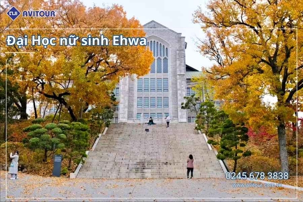 Du Lịch Hàn Quốc Mùa Thu Lễ 2/9/2026: Seoul City - Nami Island - Du thuyền Sông Hàn - Công Viên Seoul Forest - Làng Ikseon Dong - Tắm Sauna - Coex Starfield - Everland