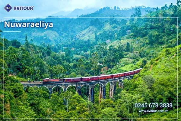 Du lịch Sri Lanka 2026: Khám Phá Xứ Tích Lan