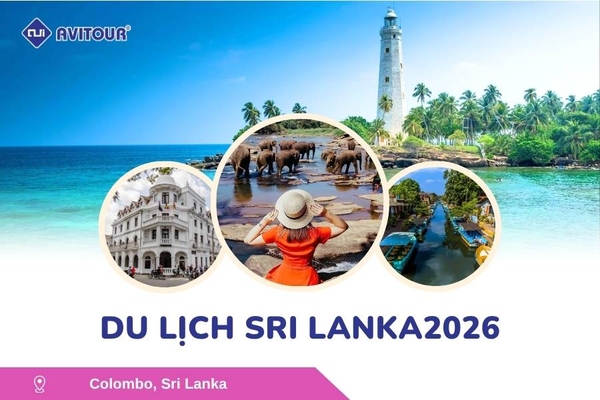 Du lịch Sri Lanka 2026: Colombo - Negombo - Pinnawala - Kandy - Kalutara - Nuwara - Eliya