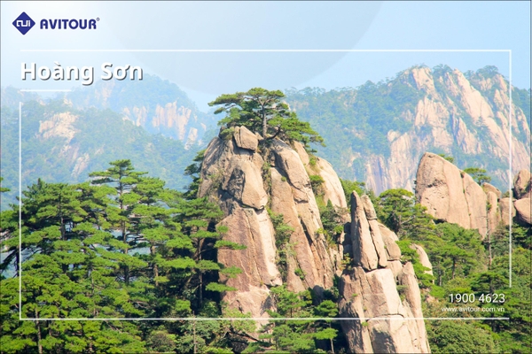 Du lịch Trung Quốc 2023| Tô Hàng – Hoàng Sơn – Ô Trấn