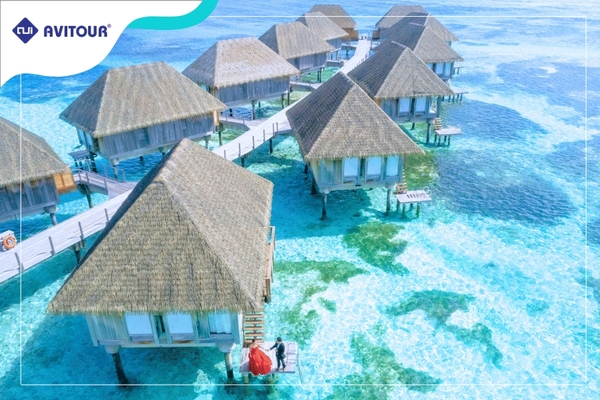 Du lịch Maldives 2023| Thiên Đường Trong Lòng Ấn Độ Dương