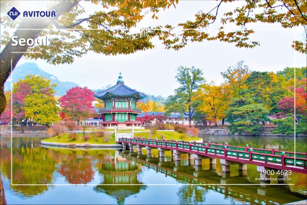 Du lịch Hàn Quốc 2023| Hà Nội - Seoul - Jeju - Nami - Everland