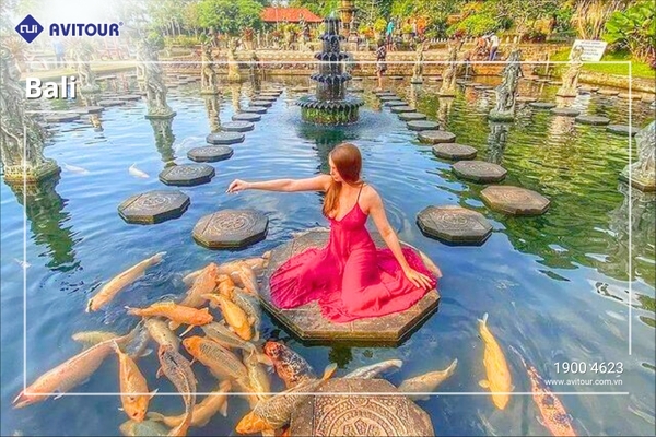 Du lịch Đảo Ngọc Bali 2023| Bali – Cung Điện Nước Cá Koi Tirta Gangga – Cổng Trời Lempuyang – Swings Bali - Ngắm hoàng hôn biển Jimbaran Kelingking – Sống Lưng Khủng Long