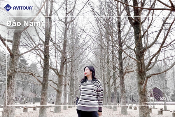 Du lịch Hàn Quốc 2023| Hà Nội - Seoul - Nami - Lotte World - Trượt Tuyết Elysian
