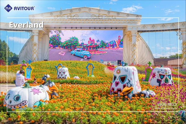 Du lịch Hàn Quốc 2023| Hà Nội – Seoul – Nami – Everland - Hái Lê/Táo