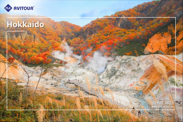Du lịch Nhật Bản 2023| Khám Phá Hokkaido – Vùng Đất Vàng