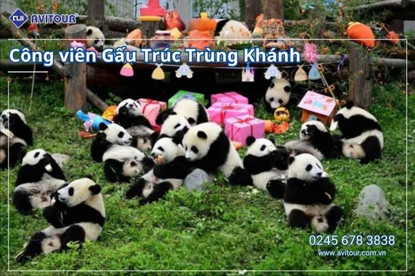 Du Lịch Trung Quốc 2026: Khám Phá Trùng Khánh (NO SHOP)