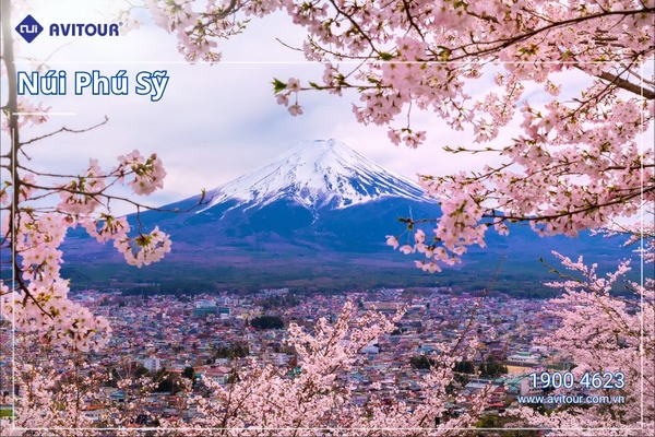 Du lịch Cung Đường Mùa Xuân 2024| Nagoya – Osaka – Kyoto – Fuji Moutain - Tokyo