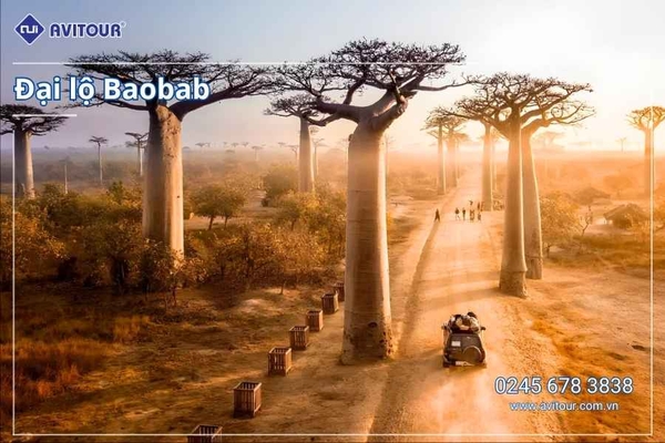 Du Lịch Đông Phi: Seychelles - Madagascar - Mauritius 2026