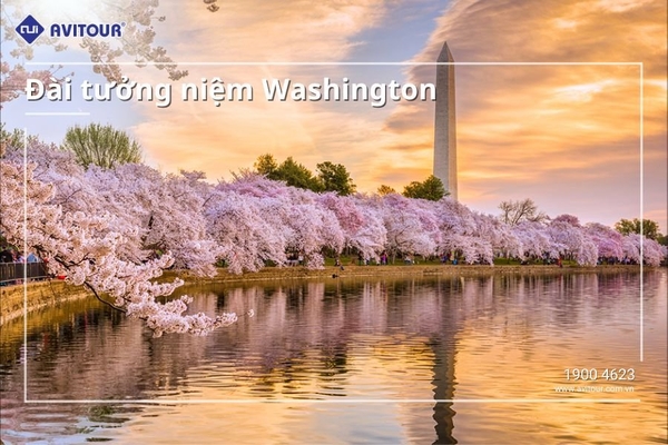 Du lịch Mỹ Mùa Hoa Anh Đào 2024| New York – Philadelphia – Delaware - Washington DC – Las Vegas – Santa Monica – Los Angeles – Universal Studio – San Diego