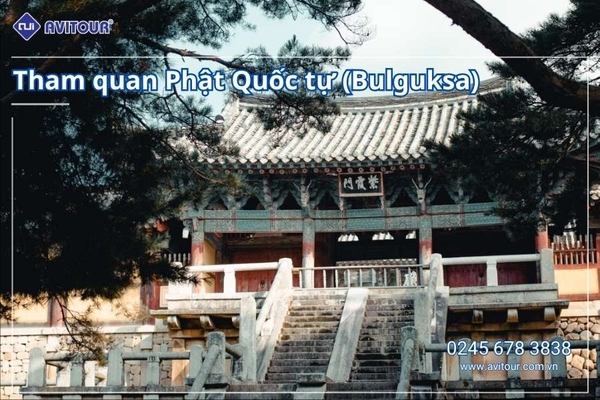 Du lịch Hàn Quốc 2026: Tour Hà Nội - Busan - Gyeongju - Seoul - Đảo Nami - Tàu Điện Ven Biển Haeundae - Cầu Kính Oryukdo - Làng Văn Hóa Huinnyeoul