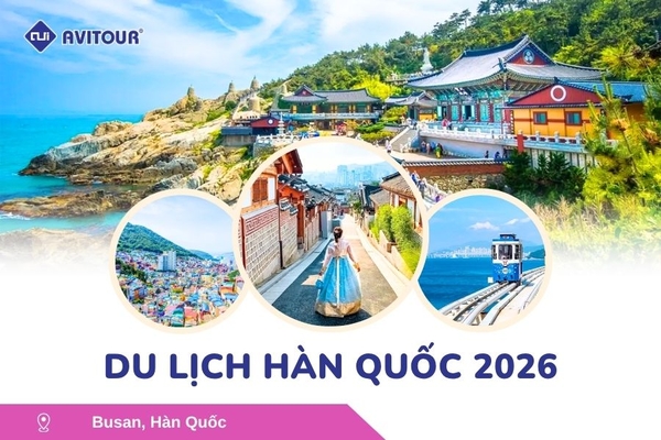 Du lịch Hàn Quốc 2026: Tour Hà Nội - Busan - Gyeongju - Seoul - Đảo Nami - Tàu Điện Ven Biển Haeundae - Cầu Kính Oryukdo - Làng Văn Hóa Huinnyeoul