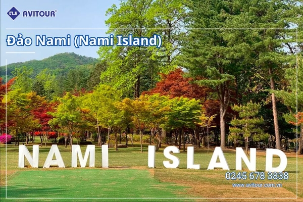 Du lịch Hàn Quốc 2026: Tour Hà Nội - Seoul - Nami - Everland - Painter Show - Thư Viện Sách