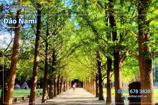 Du lịch Hàn Quốc: Tour Busan - Gyeongju - Seoul - Đảo Nami - Tàu Điện Ven Biển Haeundae - Cầu Kính Oryukdo - Làng Văn Hóa Huinnyeoul từ Hà Nội 2026