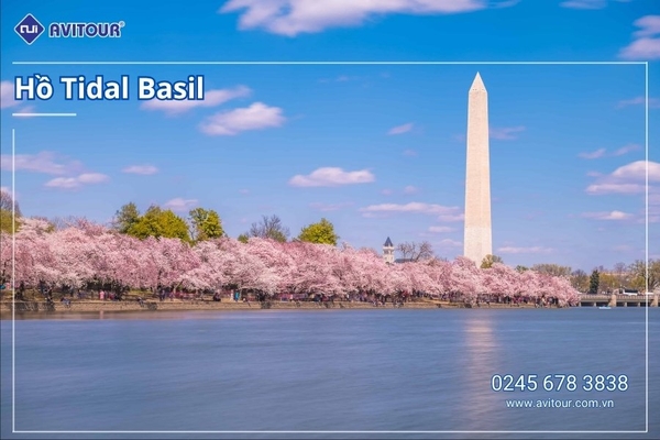 Du lịch Hoa Kỳ (Mùa Hoa Anh Đào): Tour New York - Philadelphia - Delaware - Washington DC - Las Vegas - Grand Canyon - Los Angeles - San Diego - San Jose - San Francisco từ Hà Nội 2026