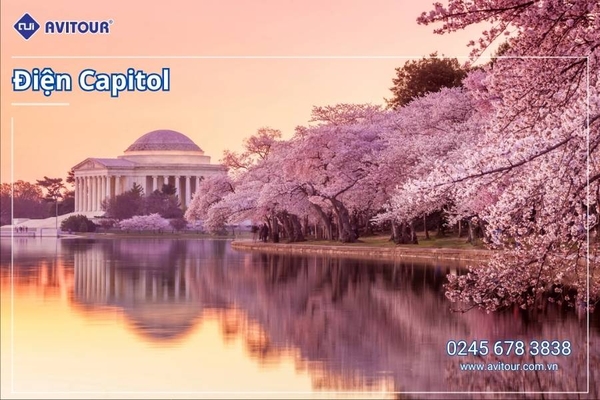 Du lịch Hoa Kỳ (Mùa Hoa Anh Đào): Tour New York - Philadelphia - Delaware - Washington DC - Las Vegas - Grand Canyon - Los Angeles - San Diego - San Jose - San Francisco từ Hà Nội 2026