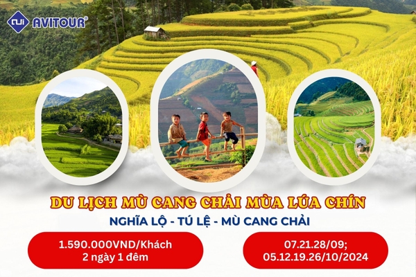 DU LỊCH MÙ CANG CHẢI MÙA LÚA CHÍN | NGHĨA LỘ - TÚ LỆ - MÙ CANG CHẢI