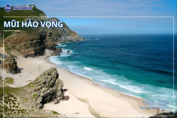 Du Lịch Nam Phi Mùa Phượng Tím 2024: Johannesburg - Thủ Đô Pretoria - Safari Game Lodge - Cape Town - Thị Trấn Hermanus