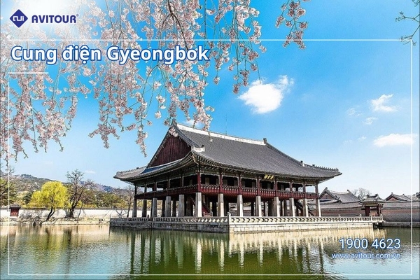 Du lịch Hàn Quốc 2024| Seoul - Nami - Everland Công Viên Yeouido - Rừng Seoul