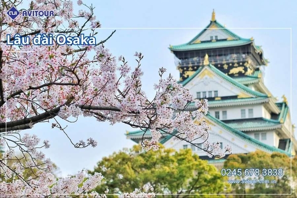 Du lịch Nhật Bản (Khai Xuân Bính Ngọ): Tour Tokyo - Phú Sĩ - Kyoto - Osaka từ Hà Nội 2026