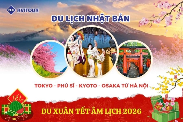 Du lịch Nhật Bản (Khai Xuân Bính Ngọ): Tour Tokyo - Phú Sĩ - Kyoto - Osaka từ Hà Nội 2026