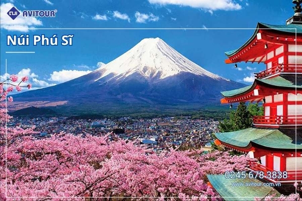 Du lịch Nhật Bản (Tết Âm Lịch 2026): Tour Tokyo - Phú Sĩ - Kyoto - Osaka từ Hà Nội 2026