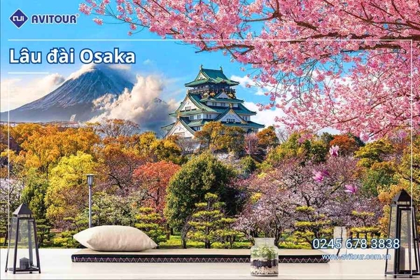 Du lịch Nhật Bản (Tết Âm Lịch 2026): Tour Tokyo - Phú Sĩ - Kyoto - Osaka từ Hà Nội 2026