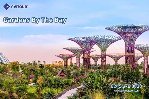 Du lịch Singapore 2026: Tour Sentosa - Madame Tussauds - Garden By The Bay - Jewel từ Hà Nội