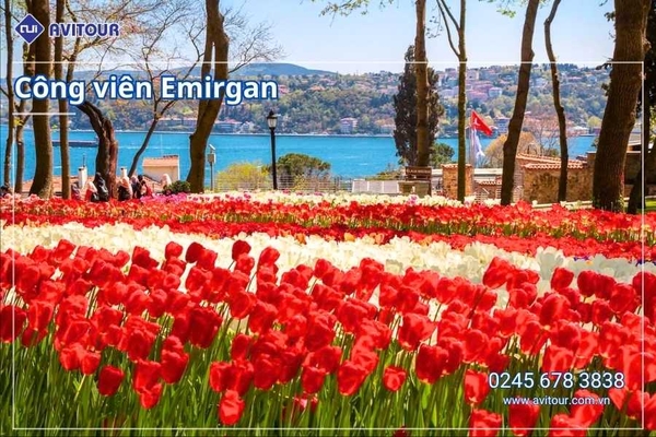 Du lịch Thổ Nhĩ Kỳ: Tour Istanbul - Bolu - Ankara - Cappadocia - Pamukkale - Ephesus - Kusadasi - İzmir - Canakkale từ Hà Nội 2026