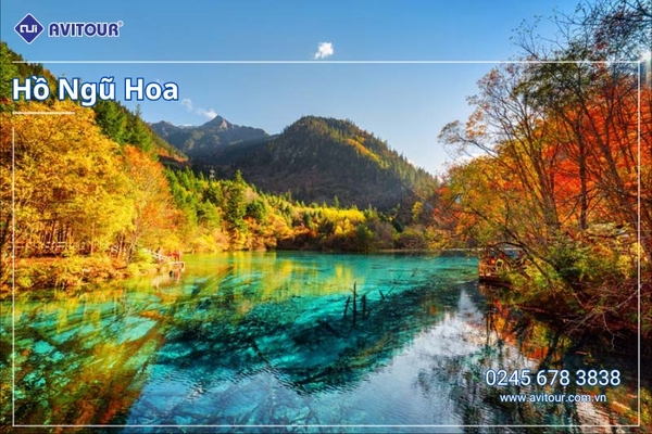 DU LỊCH TRÙNG KHÁNH - TỪ KHÍ KHẨU CỔ TRẤN - HỒNG NHAI ĐỘNG - CÔNG VIÊN GẤU TRÚC - TỊNH THỔ A BÁ - PHỐ CỔ CẨM LÝ - NGÕ RỘNG - NGÕ HẸP - THÀNH ĐÔ - CỬU TRẠI CÂU